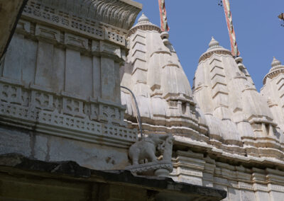 Detail of the Ranakpur Jain Temple